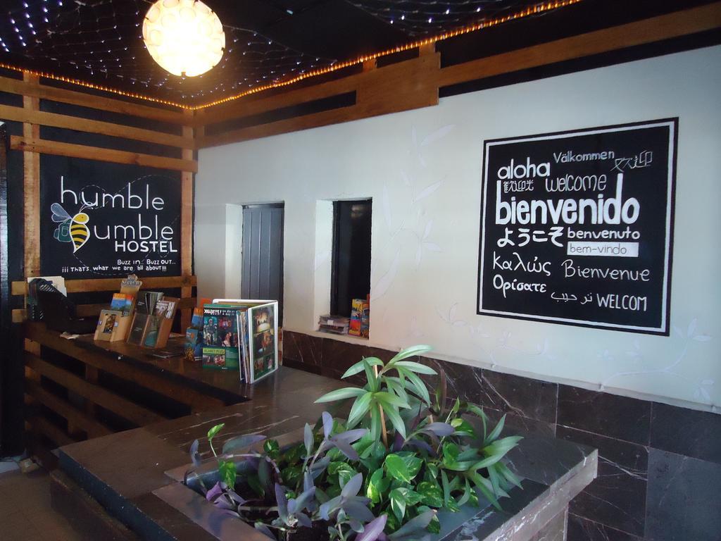 Humble Bumble Hostel Playa del Carmen Ngoại thất bức ảnh