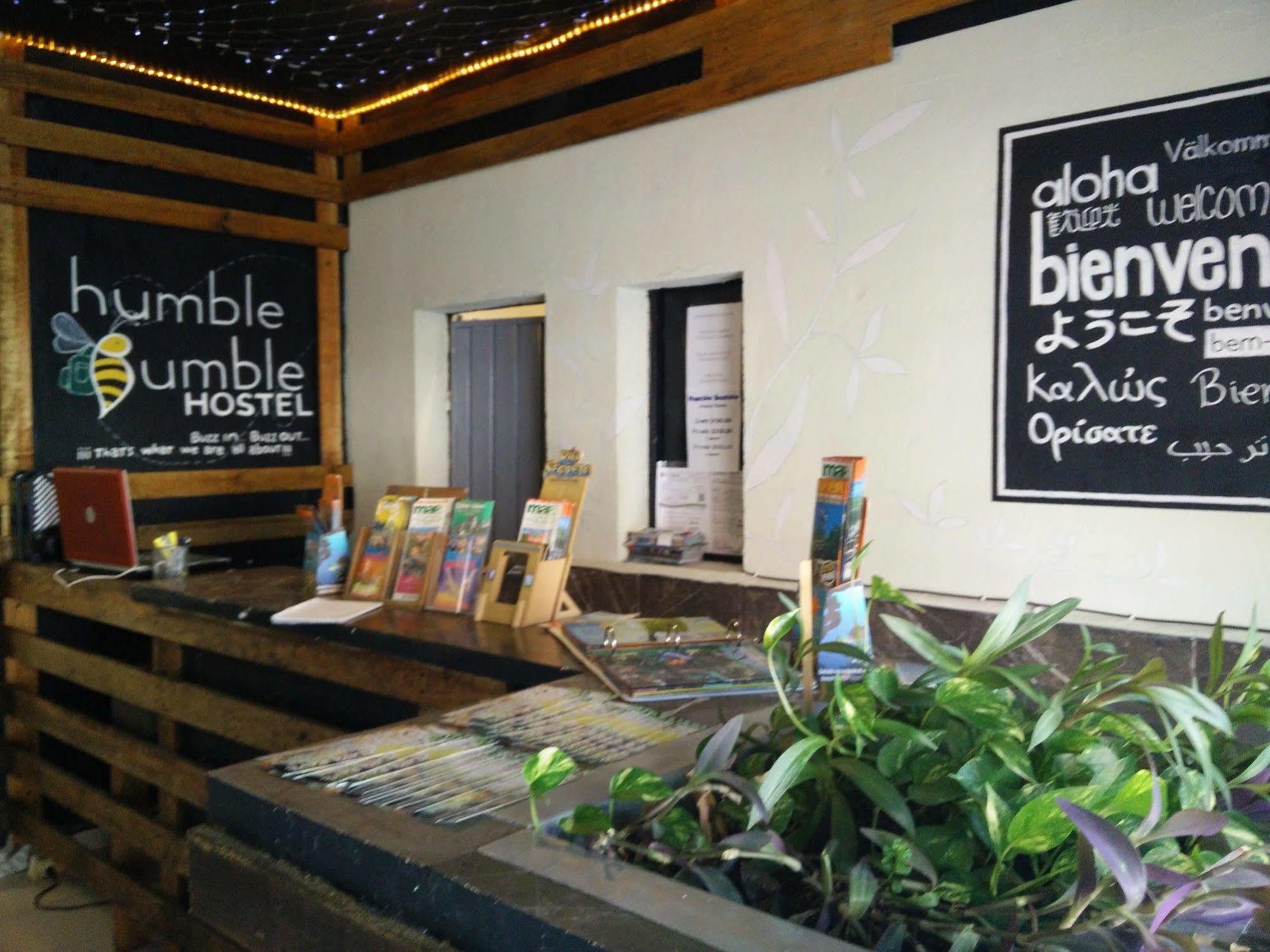 Humble Bumble Hostel Playa del Carmen Ngoại thất bức ảnh