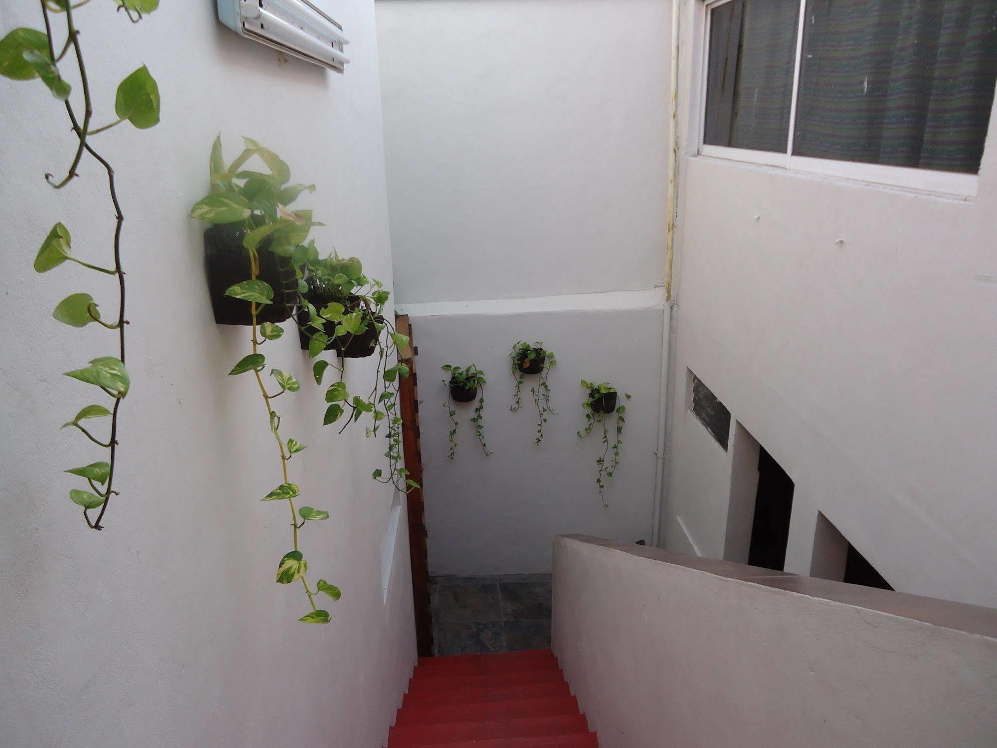 Humble Bumble Hostel Playa del Carmen Ngoại thất bức ảnh